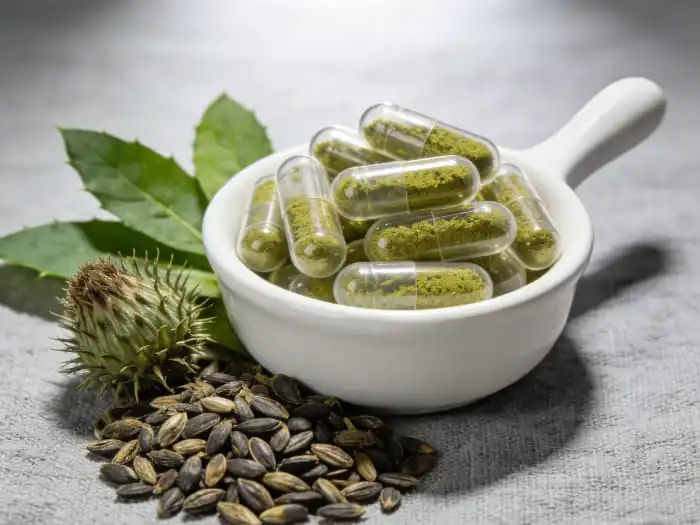 Choosing the Right Milk Thistle Extract Powder Concentration for Supplement Production